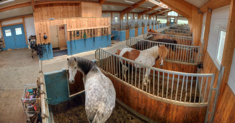 IMG_0644_Enhancer Panorama.jpg