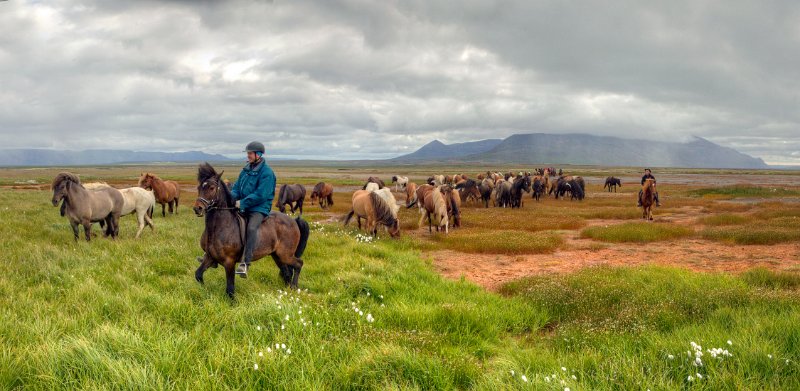 IMG_0705_Enhancer Panorama.jpg