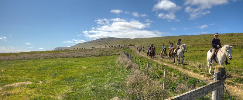 IMG_1397_Enhancer Panorama.jpg