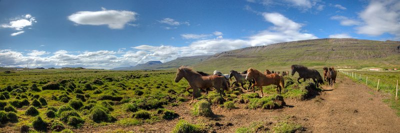 IMG_2239_Enhancer Panorama.jpg