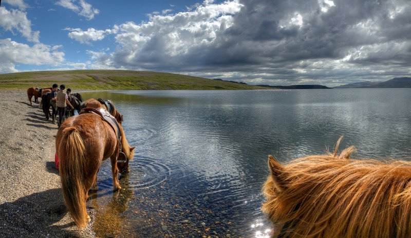 IMG_2475_Enhancer Panorama.jpg