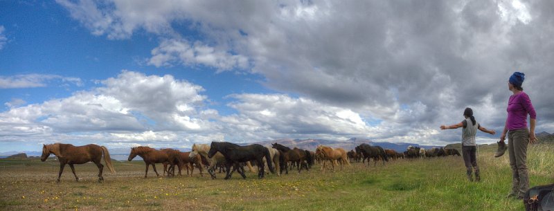 IMG_2559_Enhancer Panorama.jpg