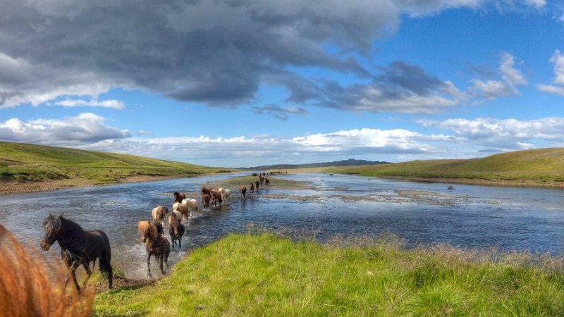 IMG_2640_Enhancer Panorama.jpg