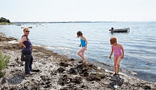 IMG_0133_2011_©_flintfoto.dk