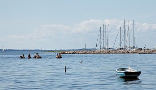 IMG_0147_2011_©_flintfoto.dk