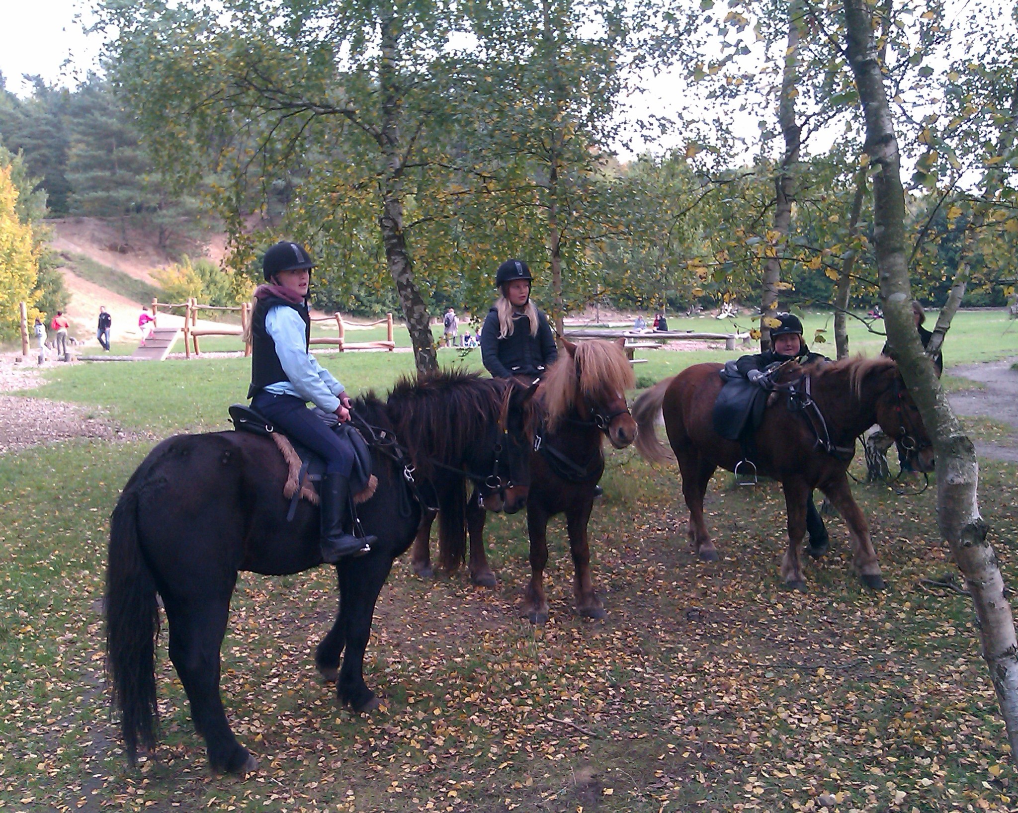 IMAG0259.jpg