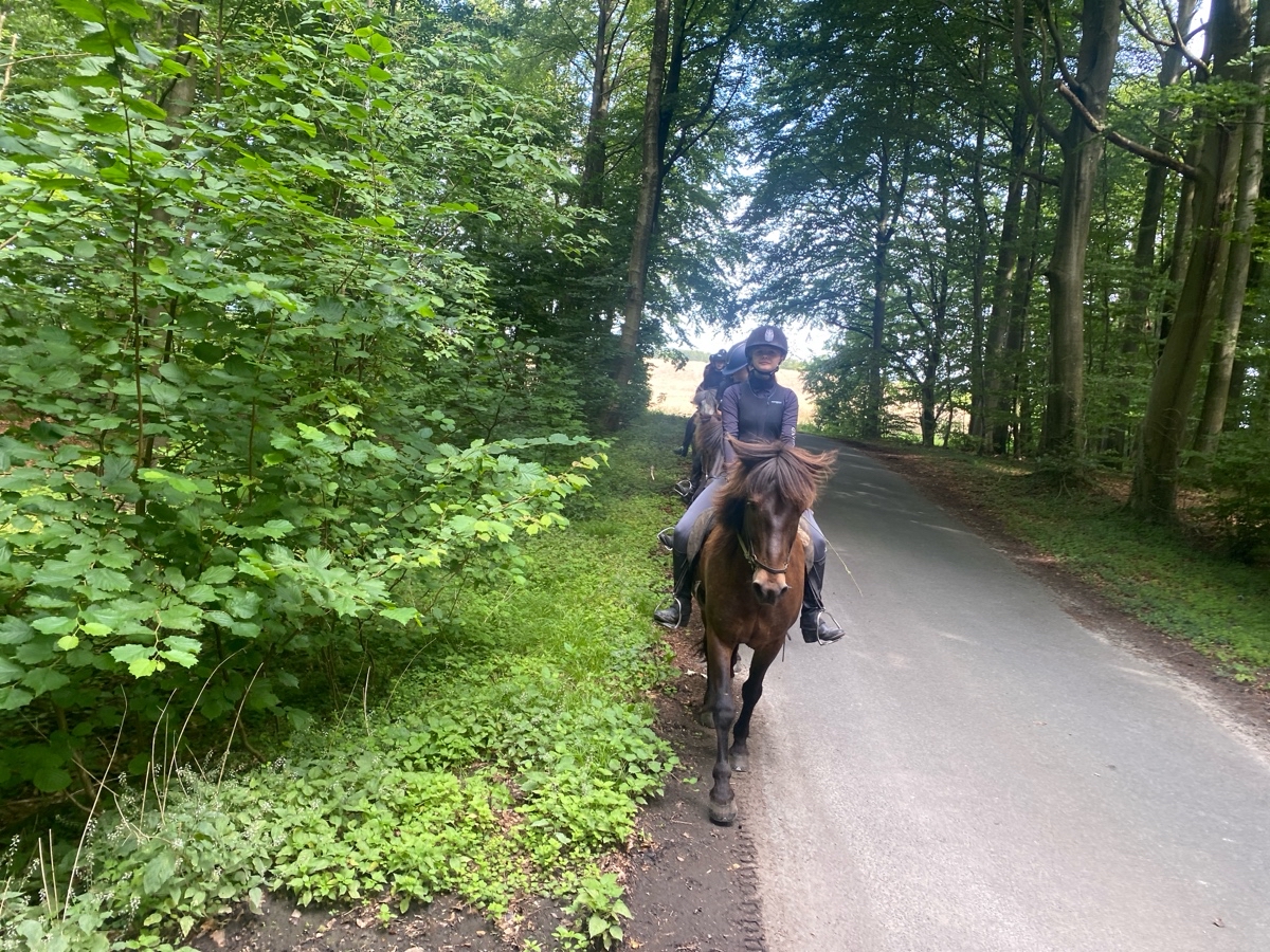 Sidste ridetur med ridelejren uge 31