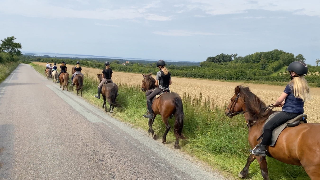 Strandturen med ridelejr uge 32