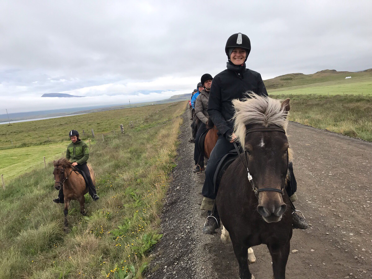 Første ridedag på Island