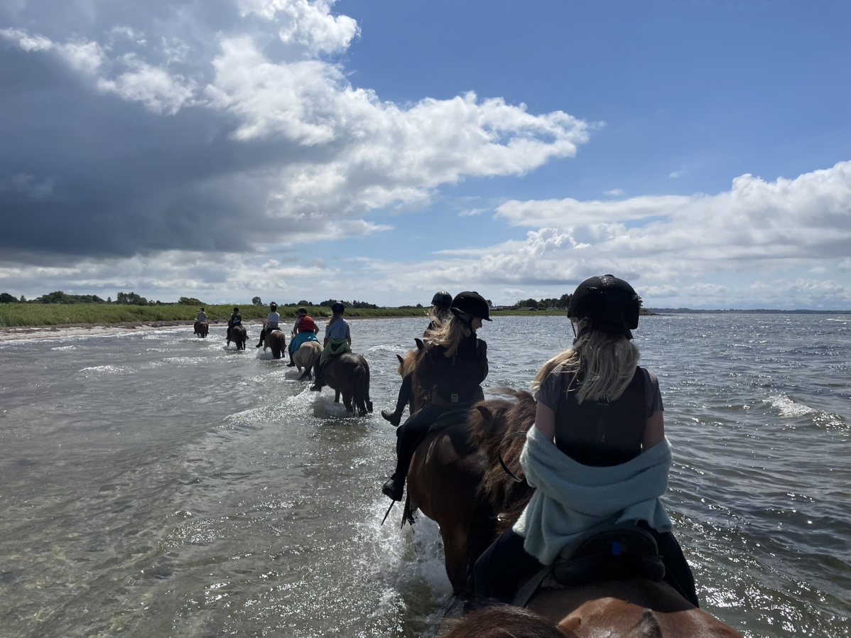 Ridelejr uge 29, strandtur Jasmin billeder