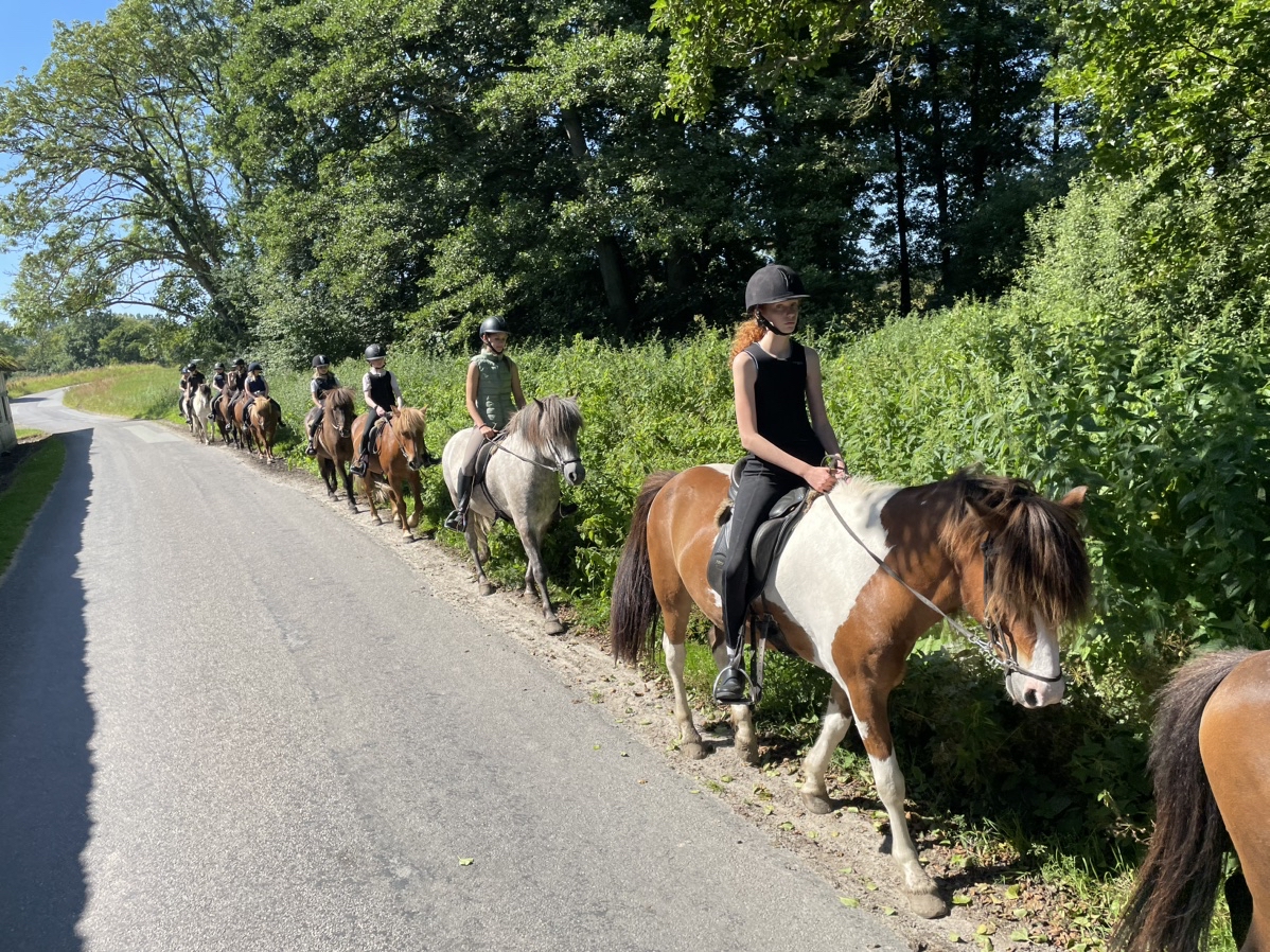 Ridelejr uge 32, tirsdag formiddag